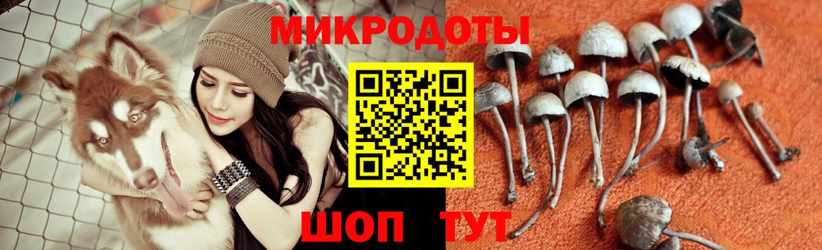 Галлюциногенные грибы мицелий  Вход с VPN  Нерюнгри 