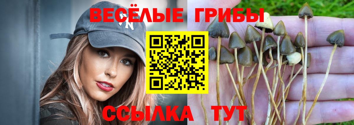 Псилоцибиновые грибы Magic Shrooms Нерюнгри